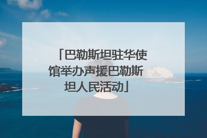 巴勒斯坦驻华使馆举办声援巴勒斯坦人民活动