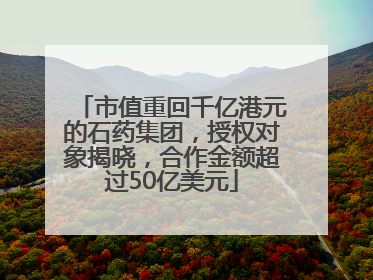 市值重回千亿港元的石药集团，授权对象揭晓，合作金额超过50亿美元