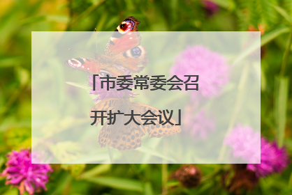 市委常委会召开扩大会议