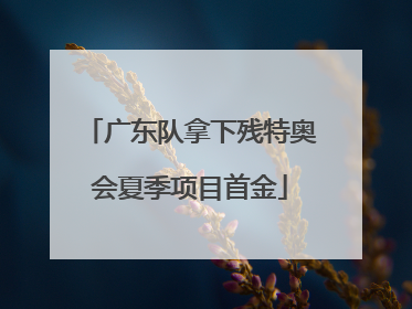 广东队拿下残特奥会夏季项目首金
