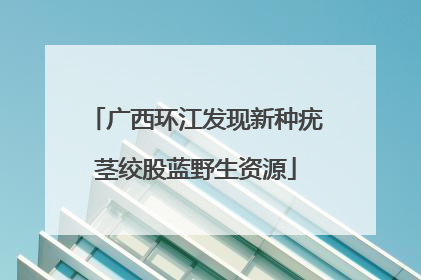 广西环江发现新种疣茎绞股蓝野生资源