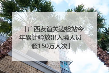 广西友谊关边检站今年累计验放出入境人员超150万人次