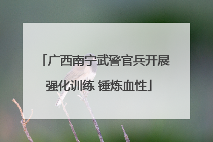 广西南宁武警官兵开展强化训练 锤炼血性
