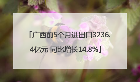 广西前5个月进出口3236.4亿元 同比增长14.8%