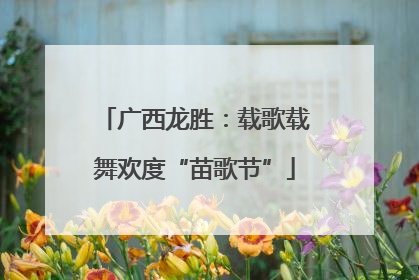 广西龙胜：载歌载舞欢度“苗歌节”