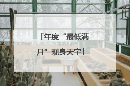 年度“最低满月”现身天宇