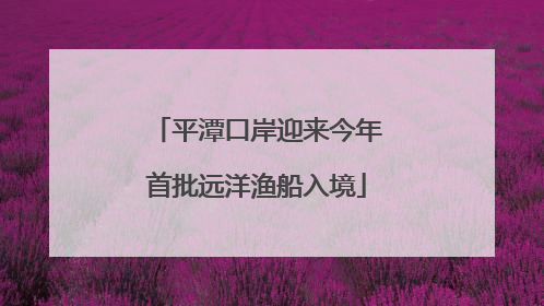 平潭口岸迎来今年首批远洋渔船入境