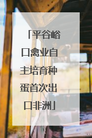 平谷峪口禽业自主培育种蛋首次出口非洲