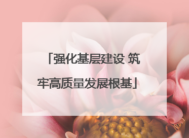 强化基层建设 筑牢高质量发展根基