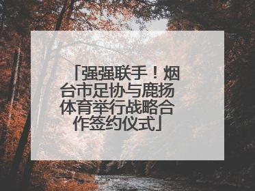 强强联手！烟台市足协与鹿扬体育举行战略合作签约仪式