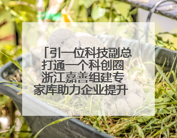 引一位科技副总 打通一个科创圈 浙江嘉善组建专家库助力企业提升自主创新能力