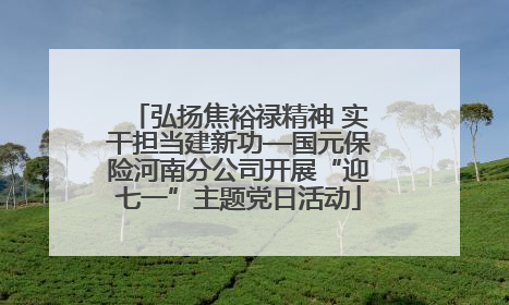 弘扬焦裕禄精神 实干担当建新功—国元保险河南分公司开展“迎七一”主题党日活动