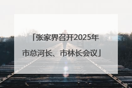 张家界召开2025年市总河长、市林长会议