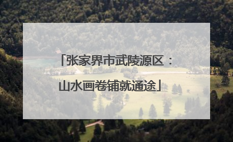 张家界市武陵源区：山水画卷铺就通途