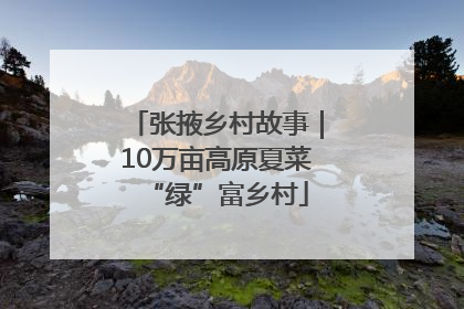 张掖乡村故事｜10万亩高原夏菜“绿”富乡村