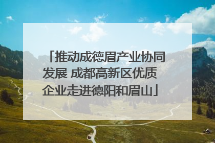 推动成德眉产业协同发展 成都高新区优质企业走进德阳和眉山