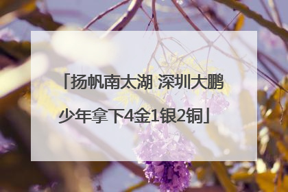 扬帆南太湖 深圳大鹏少年拿下4金1银2铜