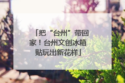 把“台州”带回家！台州文创冰箱贴玩出新花样