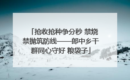 抢收抢种争分秒 禁烧禁抛筑防线——郎中乡干群同心守好 粮袋子