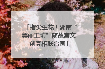 指尖生花！湖南“美丽工坊”随故宫文创亮相联合国