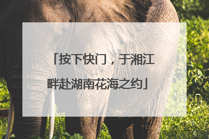 按下快门，于湘江畔赴湖南花海之约