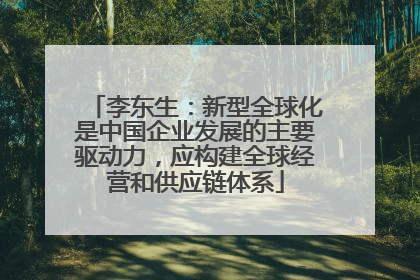 李东生：新型全球化是中国企业发展的主要驱动力，应构建全球经营和供应链体系