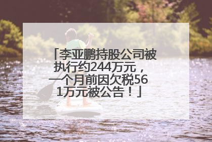 李亚鹏持股公司被执行约244万元，一个月前因欠税561万元被公告！