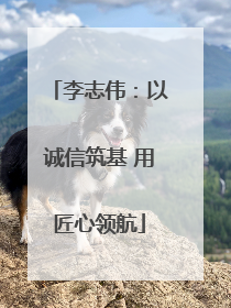 李志伟：以诚信筑基 用匠心领航
