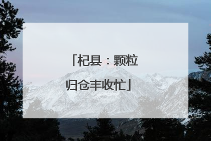 杞县：颗粒归仓丰收忙