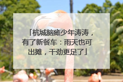 杭城脑瘫少年涛涛，有了新餐车：雨天也可出摊，干劲更足了