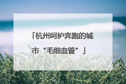 杭州呵护奔跑的城市“毛细血管”