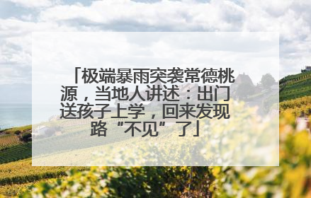 极端暴雨突袭常德桃源，当地人讲述：出门送孩子上学，回来发现路“不见”了