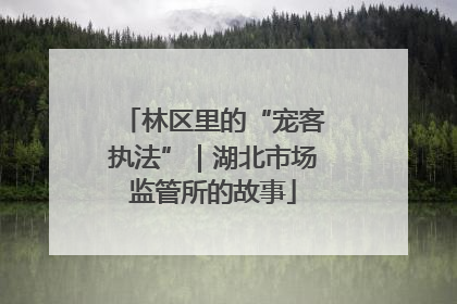 林区里的“宠客执法”｜湖北市场监管所的故事