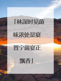 林深时见菌 味浓处是宴 晋宁菌宴正飘香