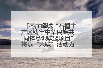 枣庄峄城“石榴主产区铸牢中华民族共同体意识联盟项目”将以“六联”活动为抓手深化品牌建设