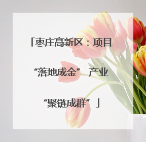 枣庄高新区：项目“落地成金” 产业“聚链成群”