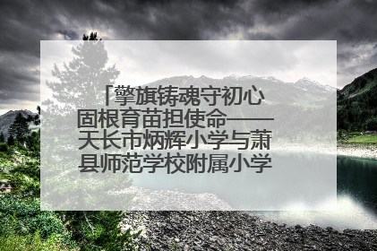 擎旗铸魂守初心 固根育苗担使命——天长市炳辉小学与萧县师范学校附属小学结对共建活动纪实