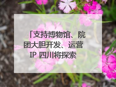 支持博物馆、院团大胆开发、运营IP 四川将探索建立新的收入分配激励机制｜新闻发布最前线