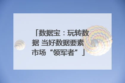 数据宝：玩转数据 当好数据要素市场“领军者”