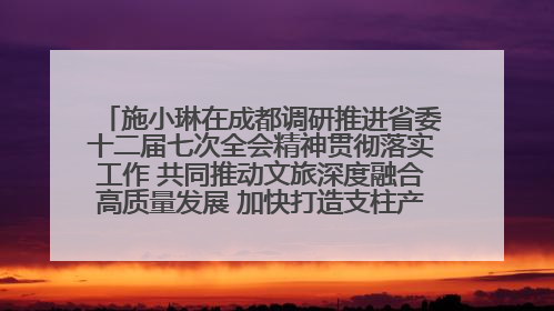 施小琳在成都调研推进省委十二届七次全会精神贯彻落实工作 共同推动文旅深度融合高质量发展 加快打造支柱产业民生产业幸福产业