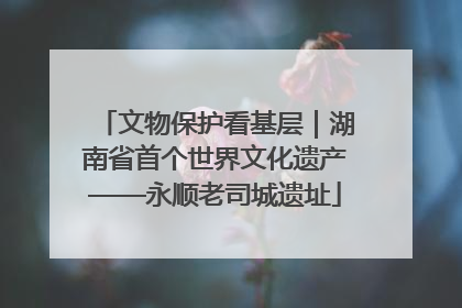 文物保护看基层｜湖南省首个世界文化遗产——永顺老司城遗址