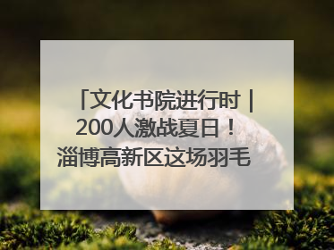 文化书院进行时｜200人激战夏日！淄博高新区这场羽毛球比赛太酷