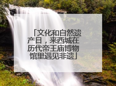 文化和自然遗产日，来西城在历代帝王庙博物馆里遇见非遗