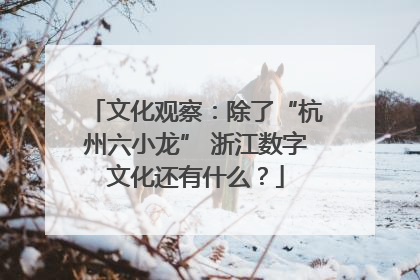 文化观察：除了“杭州六小龙” 浙江数字文化还有什么？