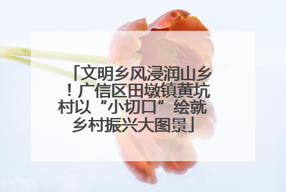 文明乡风浸润山乡！广信区田墩镇黄坑村以“小切口”绘就乡村振兴大图景