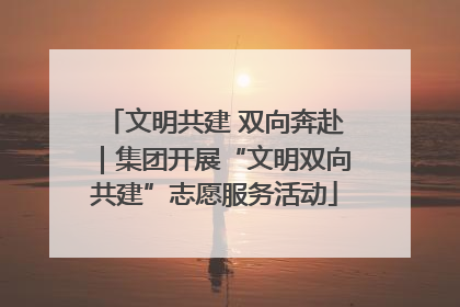文明共建 双向奔赴｜集团开展“文明双向共建”志愿服务活动