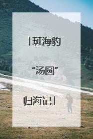 斑海豹“汤圆”归海记