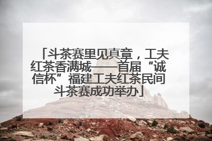 斗茶赛里见真章，工夫红茶香满城——首届“诚信杯”福建工夫红茶民间斗茶赛成功举办