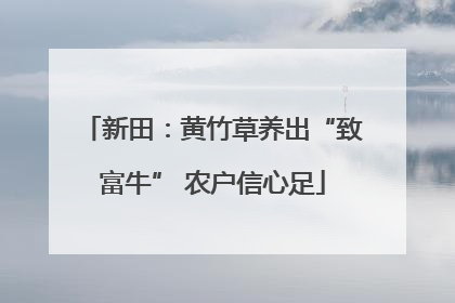 新田：黄竹草养出“致富牛” 农户信心足