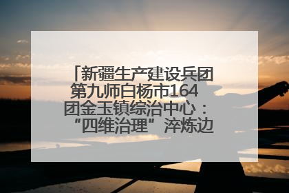 新疆生产建设兵团第九师白杨市164团金玉镇综治中心：“四维治理”淬炼边疆“枫桥样本”